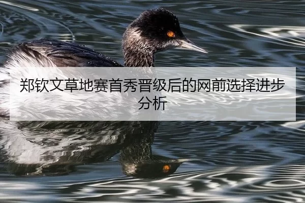 郑钦文草地赛首秀晋级后的网前选择进步分析